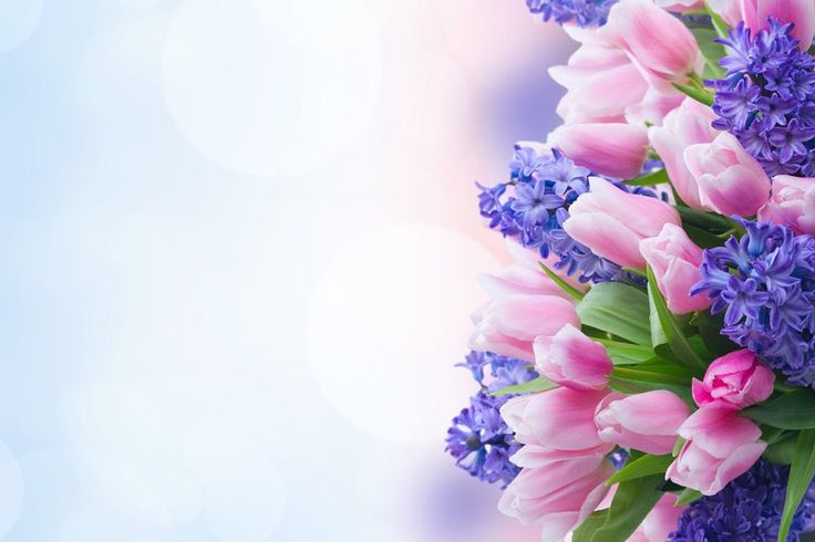 En Özel Çiçek Çeşitleri Burada!